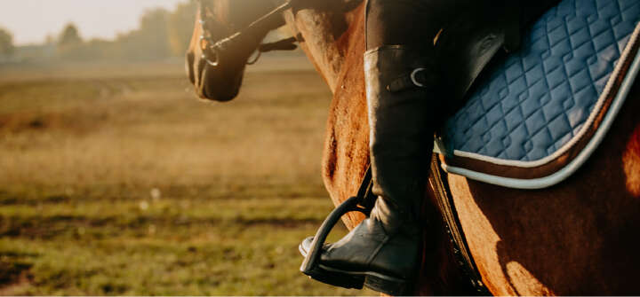 Angebote Einstiegsbanner Pferd und Reiter